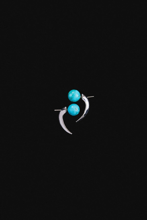 Fish Hook Earrings_turquoise